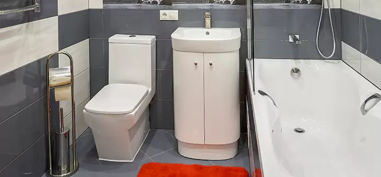 Hansgrohe Shaving Mirror Farmers Branch